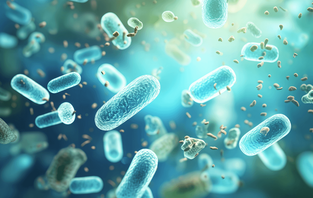 Healthy livestock showing improved growth